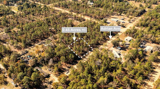 0.45 Acres Land In Interlachen FL