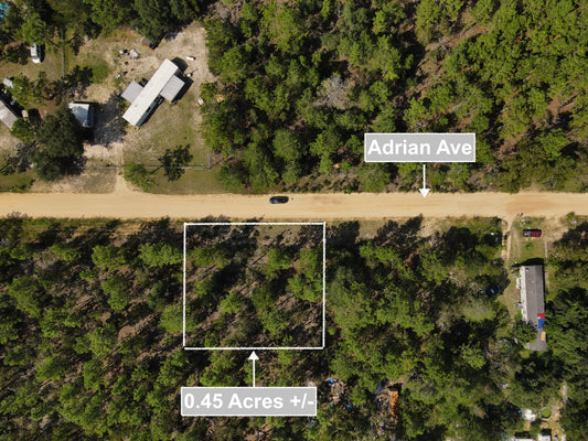 0.45 Acres Land In Interlachen FL