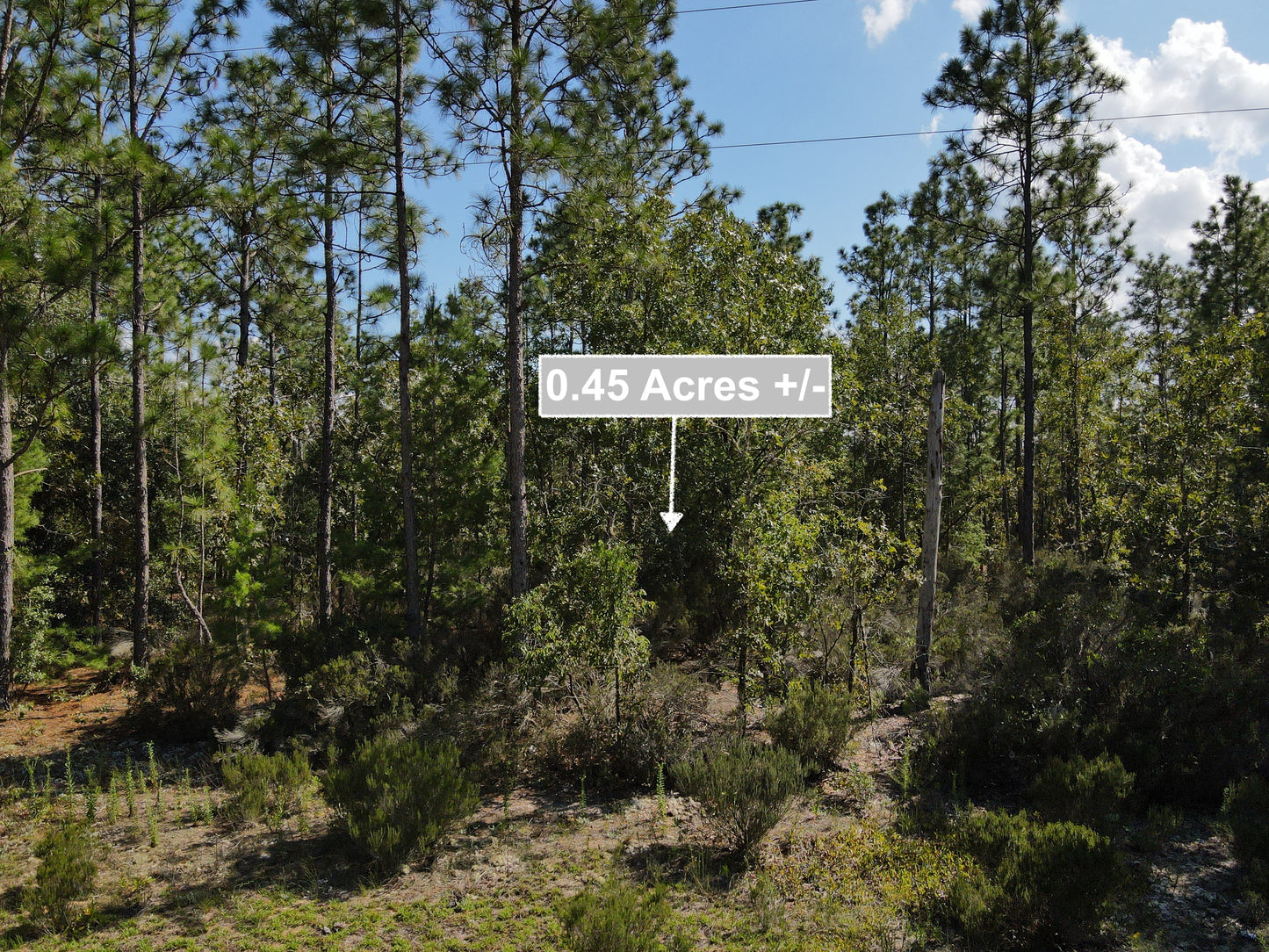 0.45 Acres Land In Interlachen FL