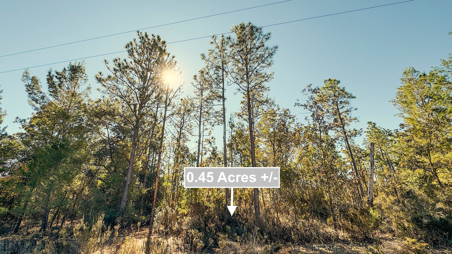 0.45 Acres Land In Interlachen FL