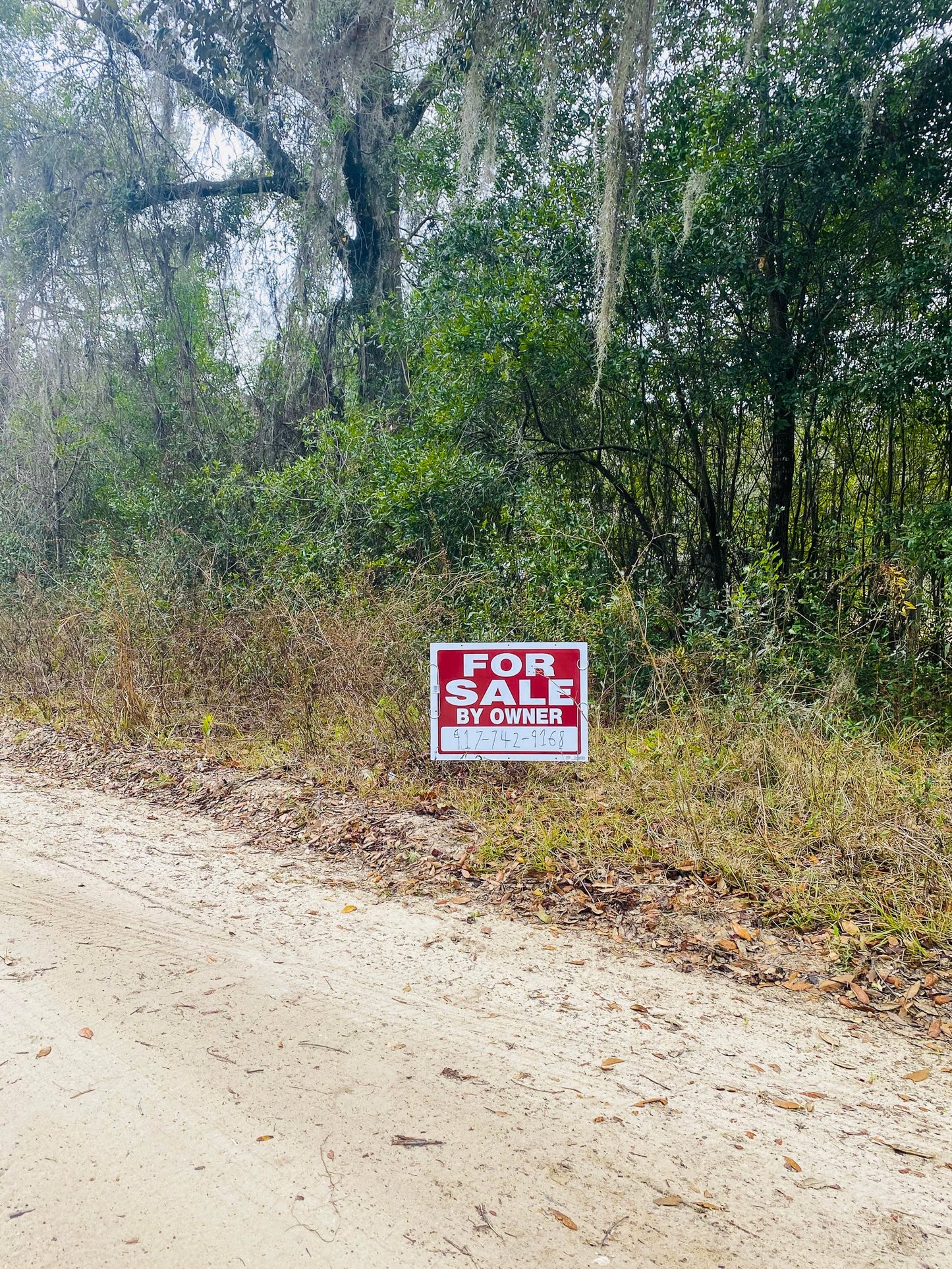 0.31 Acres Land In Florahome FL