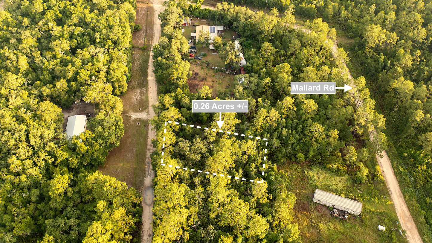 0.26 Acres Land For Sale In Satsuma