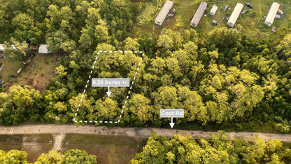 0.26 Acres Land For Sale In Satsuma
