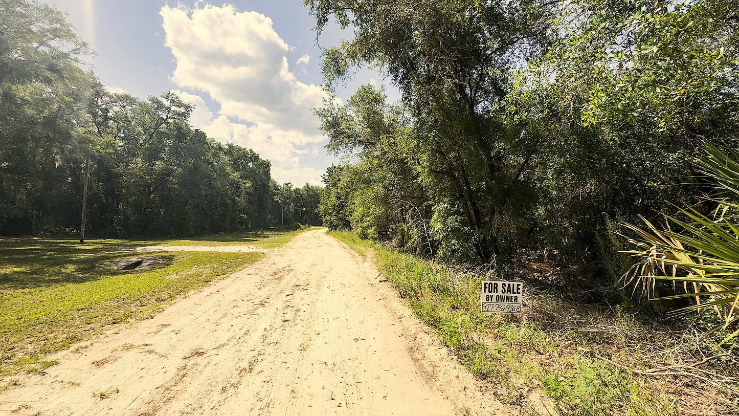 0.26 Acres Land For Sale In Satsuma