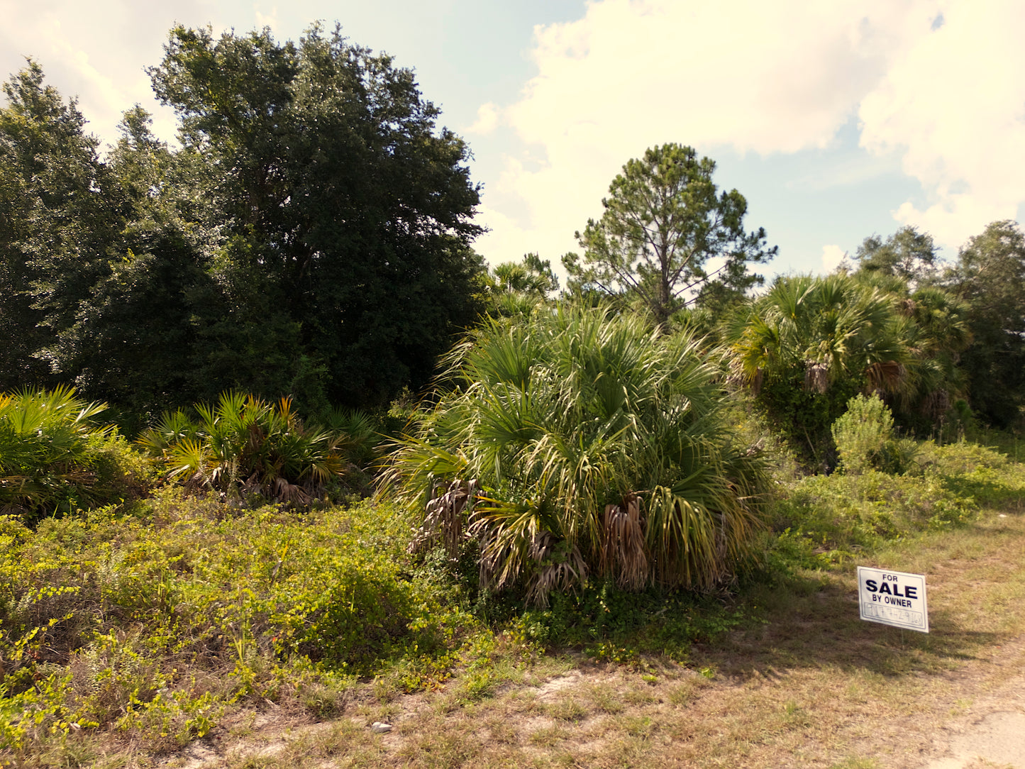 0.23 Acres Land For Sale In North Port