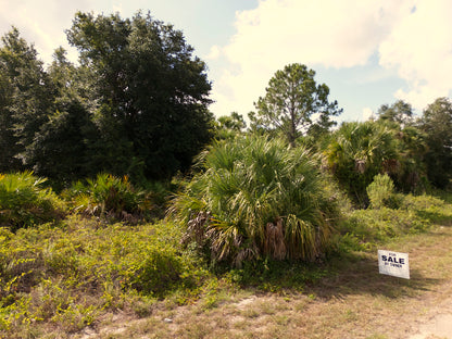 0.23 Acres Land For Sale In North Port