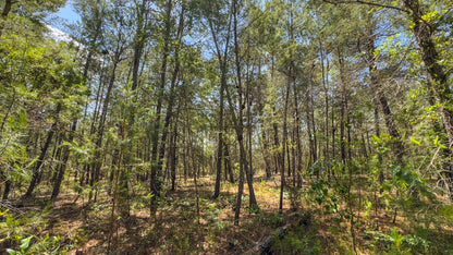 0.38 Acres Of Land In Hawthorne