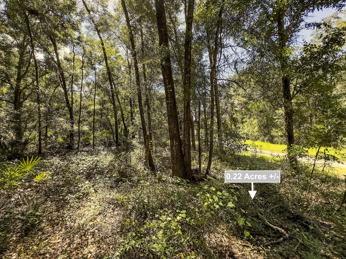0.22 Acres Land For Sale In Trenton