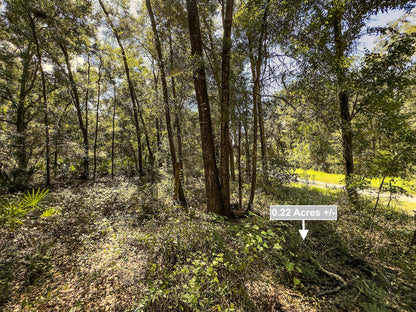 0.22 Acres Land For Sale In Trenton