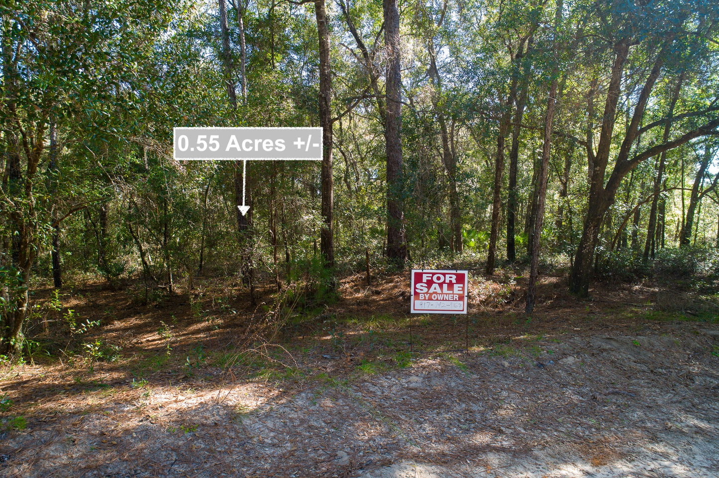 0.55 Acres Land Near Lake In Interlachen FL