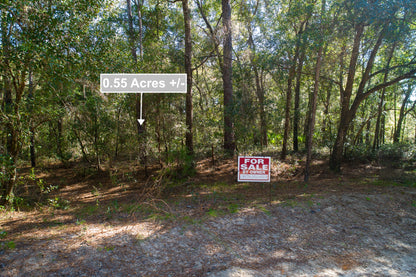 0.55 Acres Land Near Lake In Interlachen FL