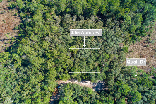 0.55 Acres Land Near Lake In Interlachen FL