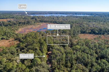 0.55 Acres Land Near Lake In Interlachen FL