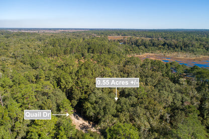 0.55 Acres Land Near Lake In Interlachen FL