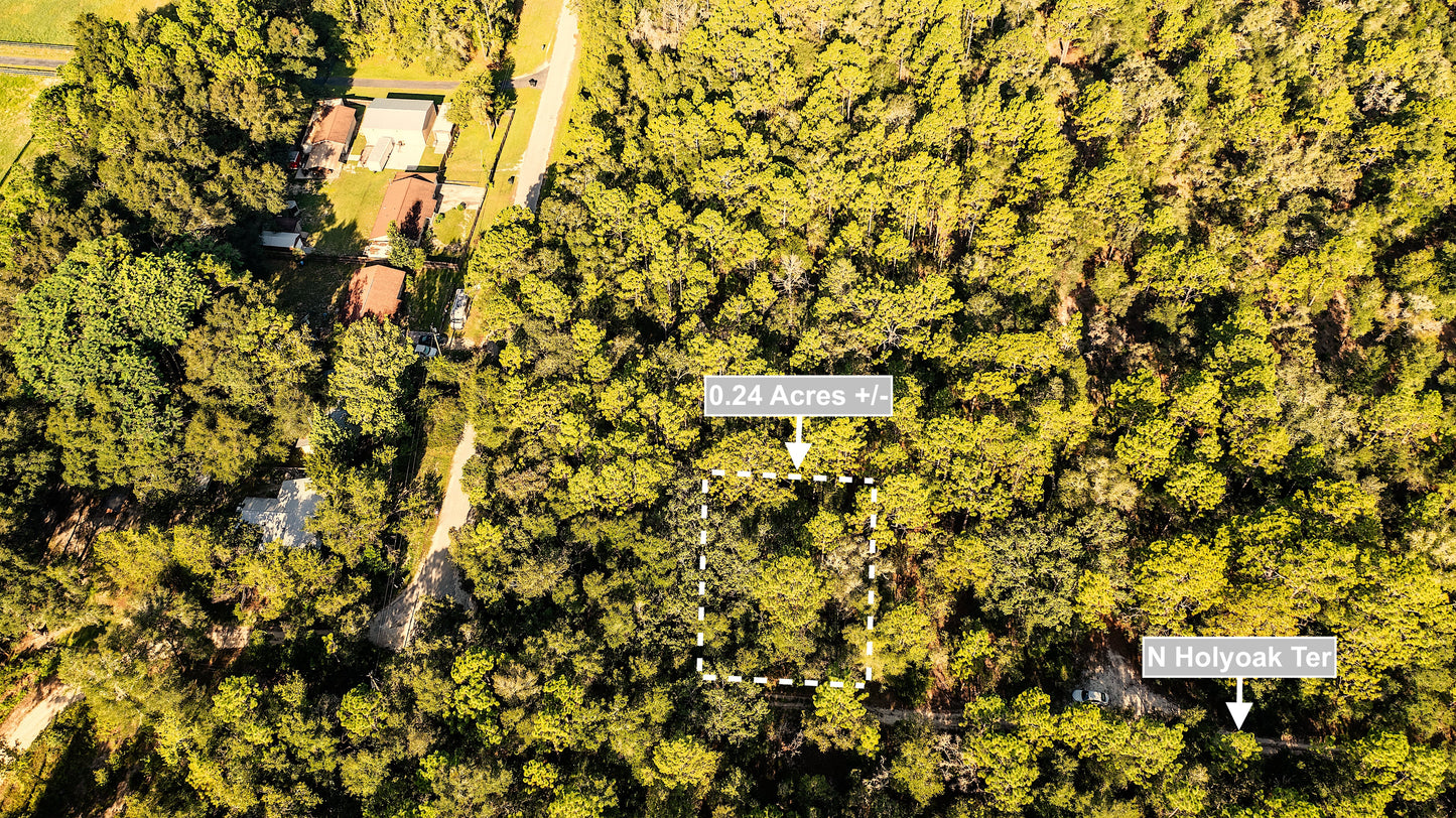 0.24 Acres Land For Sale In Dunnellon