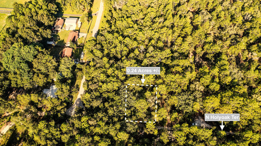 0.24 Acres Land For Sale In Dunnellon