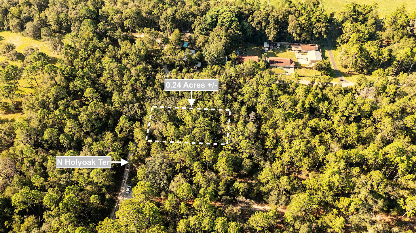 0.24 Acres Land For Sale In Dunnellon