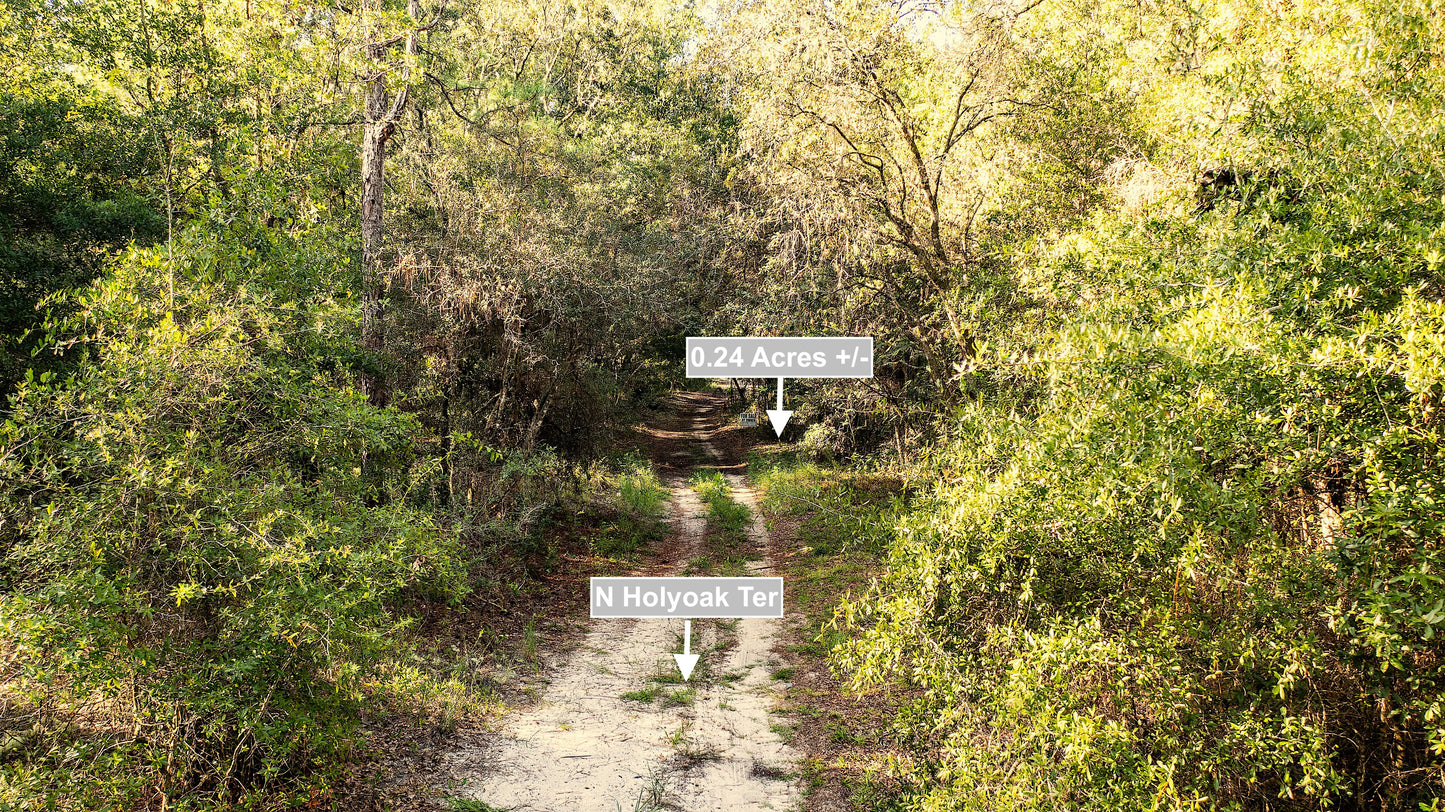 0.24 Acres Land For Sale In Dunnellon