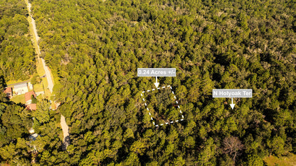 0.24 Acres Land For Sale In Dunnellon