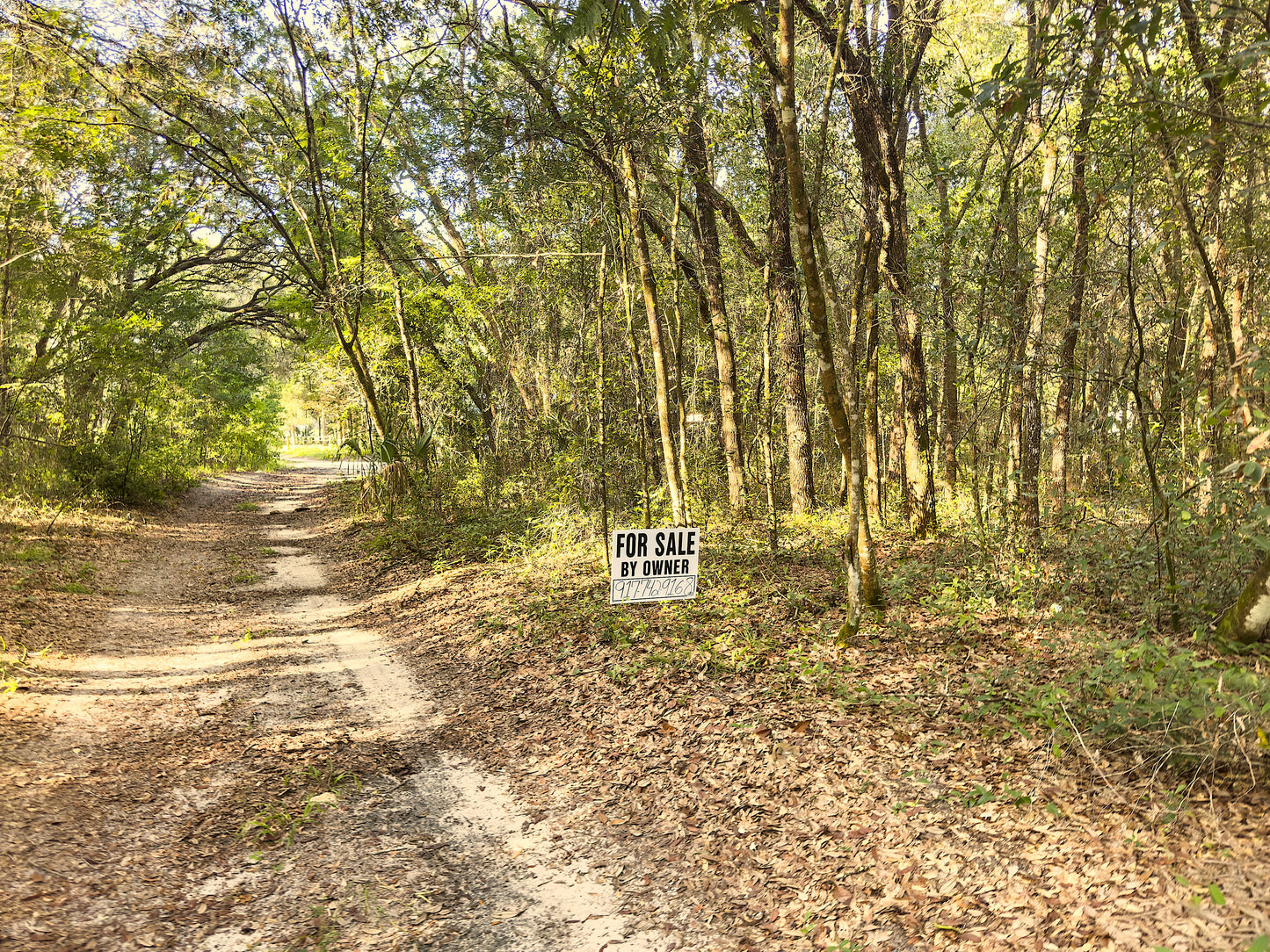 0.24 Acres Land For Sale In Dunnellon