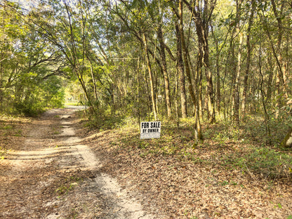 0.24 Acres Land For Sale In Dunnellon
