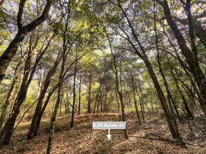 0.24 Acres Land For Sale In Dunnellon