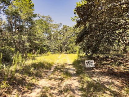 0.24 Acres Land For Sale In Inverness