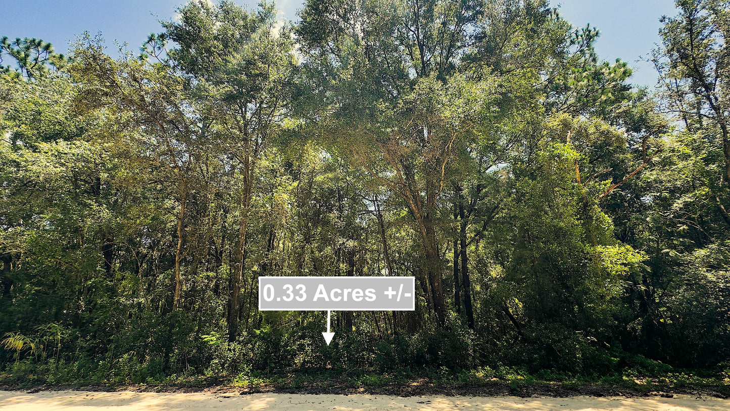 0.33 Acres Land For Sale In Ocala