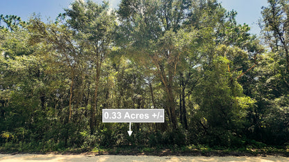 0.33 Acres Land For Sale In Ocala