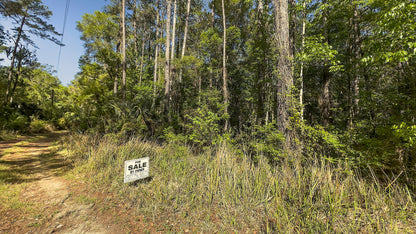 0.36 Acres Land For Sale In Ocala FL