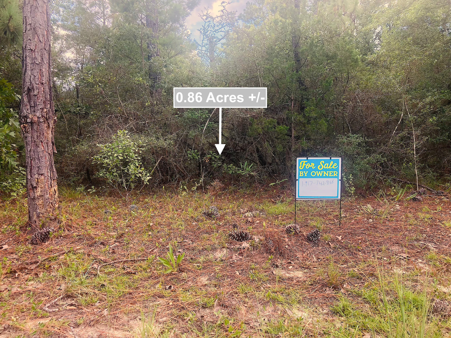 0.86 Acres Land For Sale In Marianna