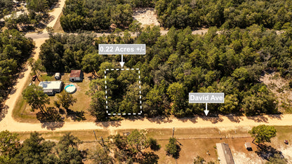0.22 Acres Land For Sale In Interlachen