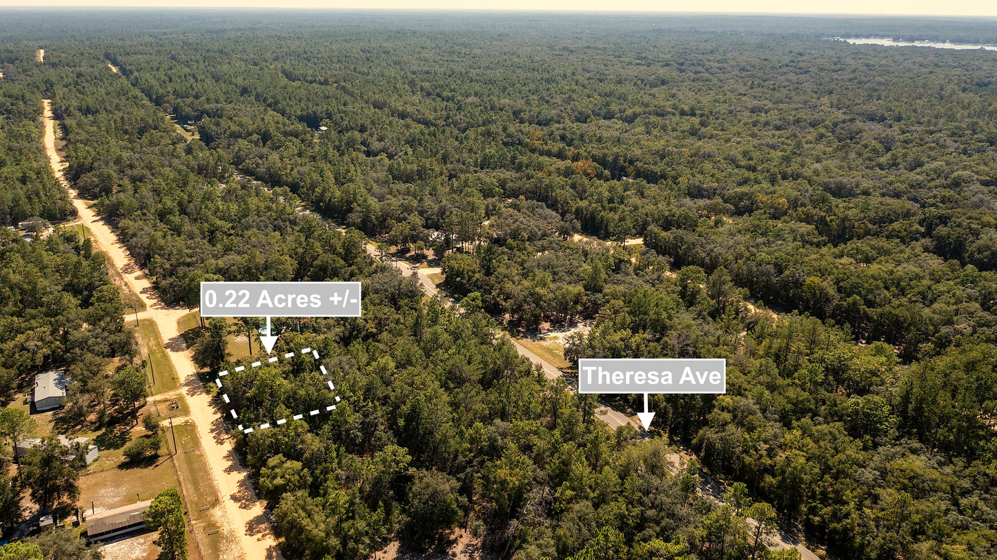 0.22 Acres Land For Sale In Interlachen