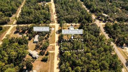 0.22 Acres Land For Sale In Interlachen