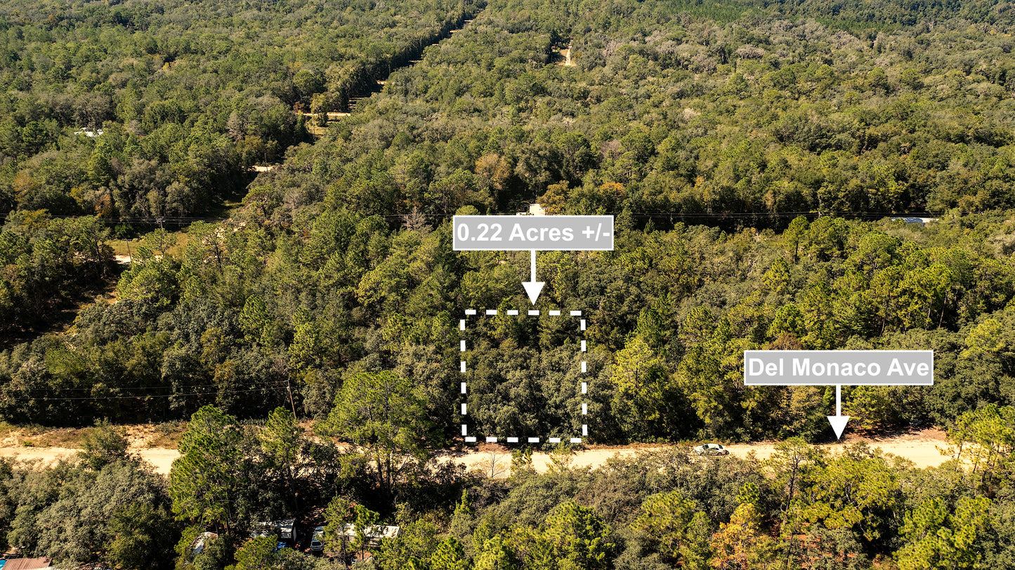 0.22 Acres Land (Near Paved Road) For Sale In Interlachen