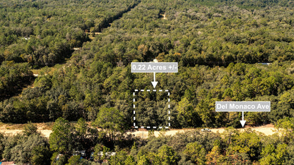 0.22 Acres Land (Near Paved Road) For Sale In Interlachen