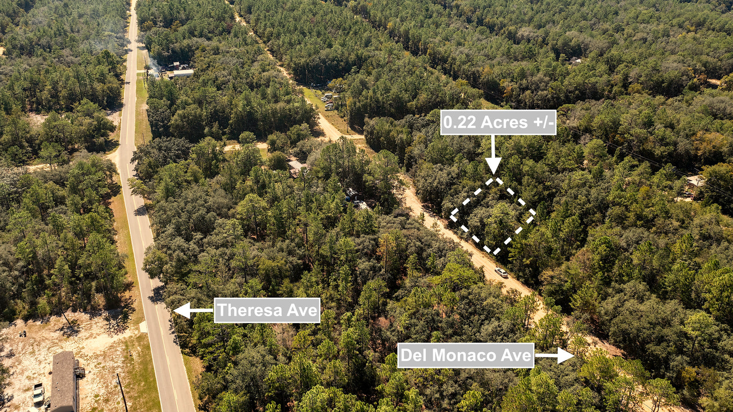 0.22 Acres Land (Near Paved Road) For Sale In Interlachen