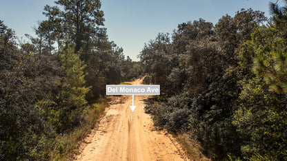 0.22 Acres Land (Near Paved Road) For Sale In Interlachen