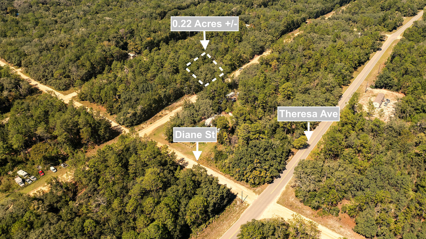 0.22 Acres Land (Near Paved Road) For Sale In Interlachen