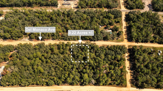 0.22 Acres Land (Near Paved Road) For Sale In Interlachen