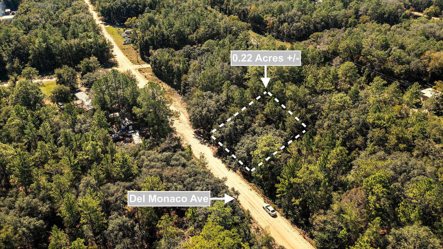 0.22 Acres Land (Near Paved Road) For Sale In Interlachen
