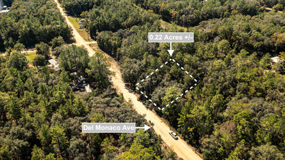 0.22 Acres Land (Near Paved Road) For Sale In Interlachen