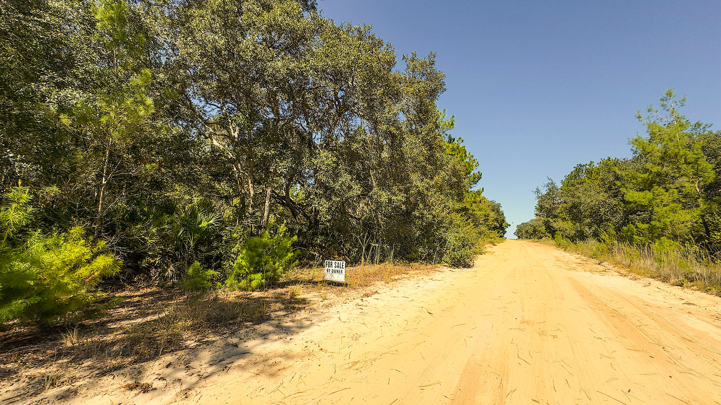 0.22 Acres Land (Near Paved Road) For Sale In Interlachen