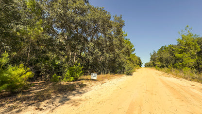 0.22 Acres Land (Near Paved Road) For Sale In Interlachen