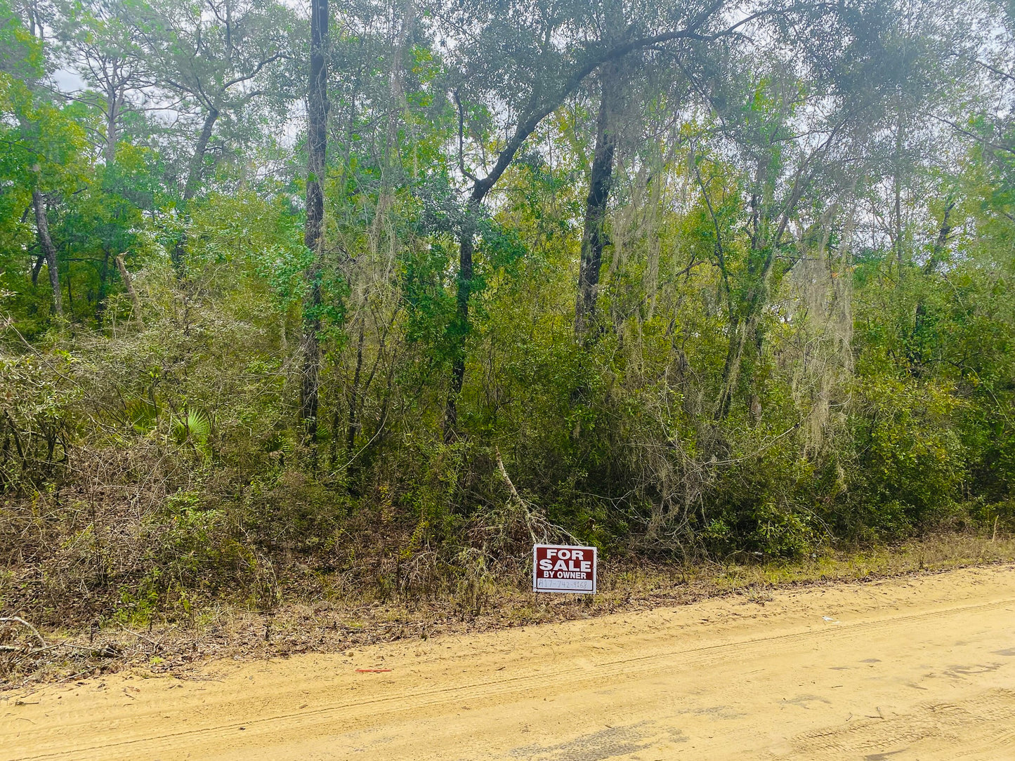 0.47 Acres Of Land In Interlachen FL