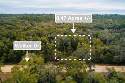 0.47 Acres Of Land In Interlachen FL