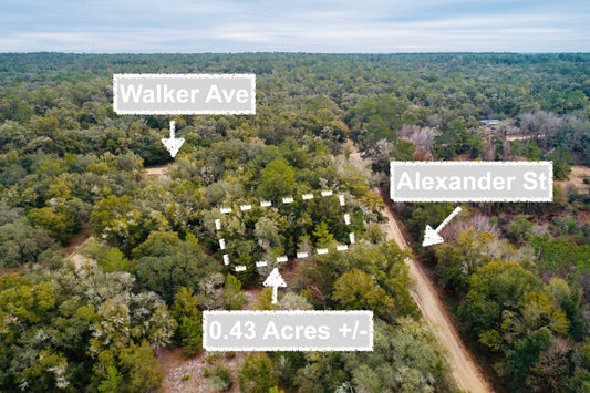 0.43 Acres Of Land In Interlachen