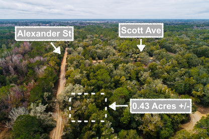 0.43 Acres Of Land In Interlachen