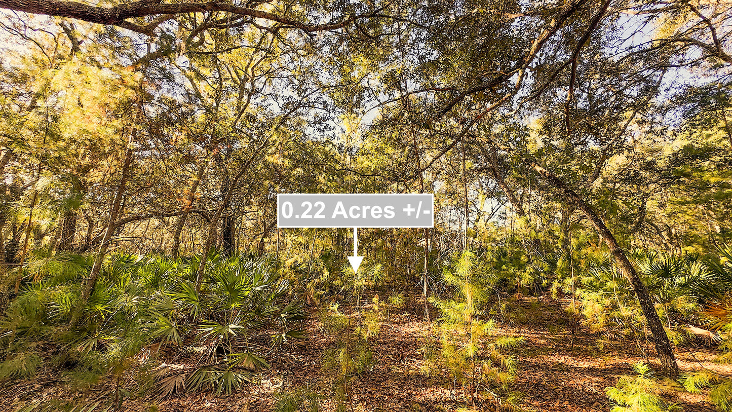 0.22 Acres Land Next To Paved Road And Lakes For Sale In Interlachen