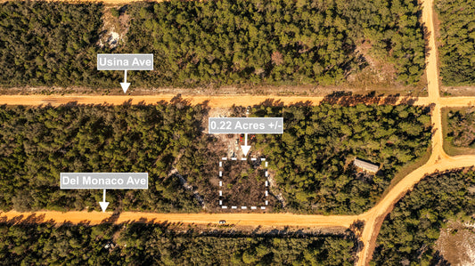 0.22 Acres Land For Sale In Interlachen